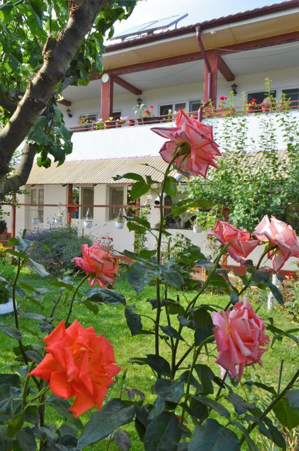 Casa Gia Hotel Costinesti Bagian luar foto